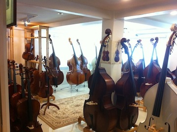 double bass gallery