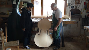 Setup Double Bass